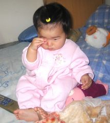 �t���[��