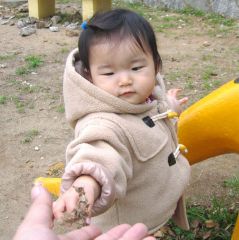 �t���[��