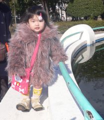 �t���[��