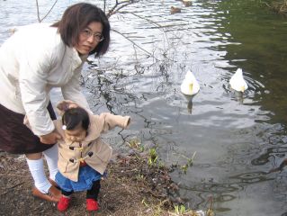 �t���[��