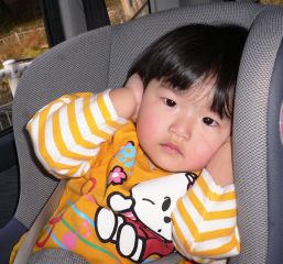 �t���[��