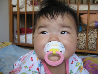 �t���[��