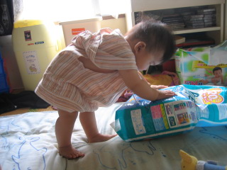 �t���[��