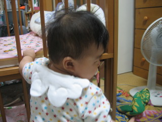 �t���[��