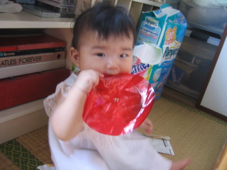 �t���[��