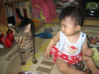 �t���[��