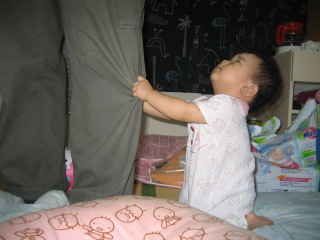 �t���[��