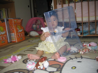 �t���[��