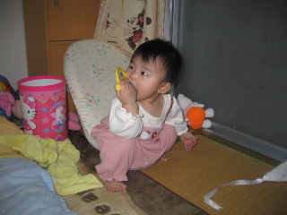 �t���[��