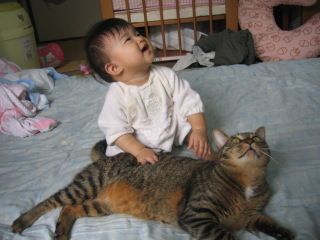 �t���[��