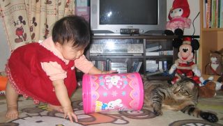 �t���[��